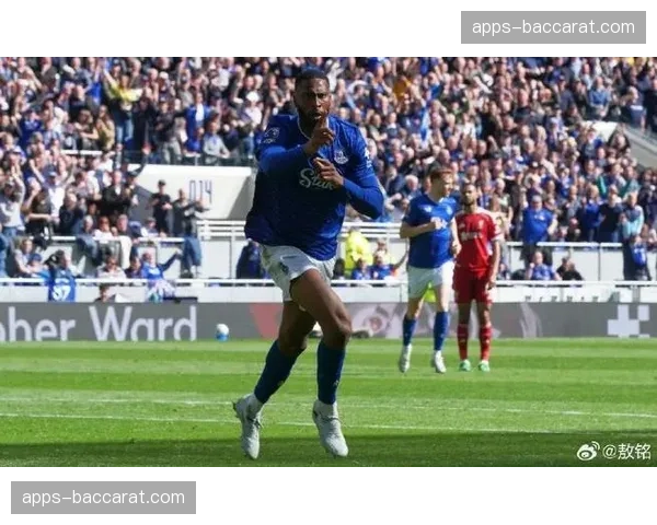 埃弗顿前锋贝托头部伤势，具体恢复时间尚未确定